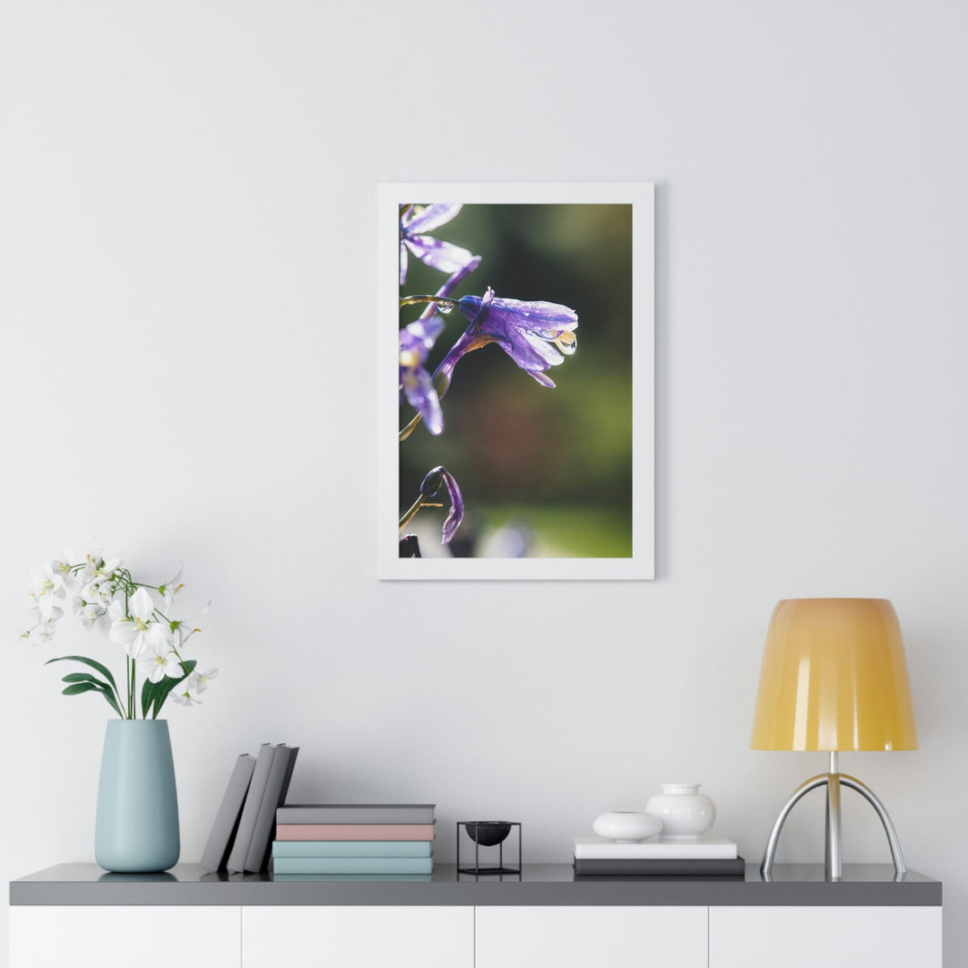 Purple Droplets - Framed Print - Visiting This World