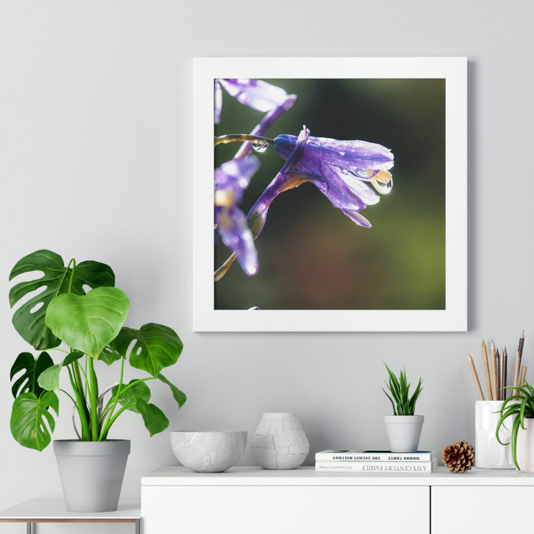 Purple Droplets - Framed Print - Visiting This World