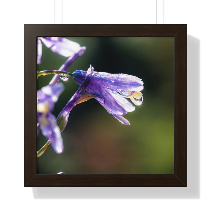 Purple Droplets - Framed Print - Visiting This World