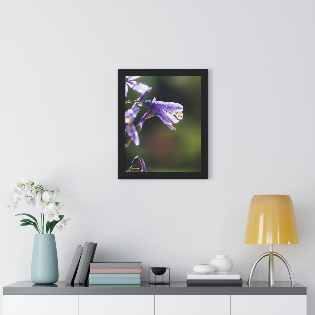 Purple Droplets - Framed Print - Visiting This World