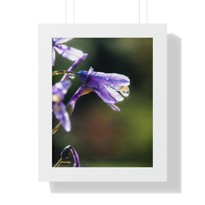 Purple Droplets - Framed Print - Visiting This World