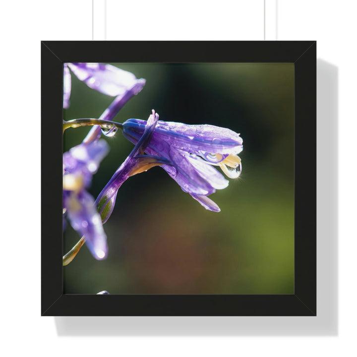 Purple Droplets - Framed Print - Visiting This World