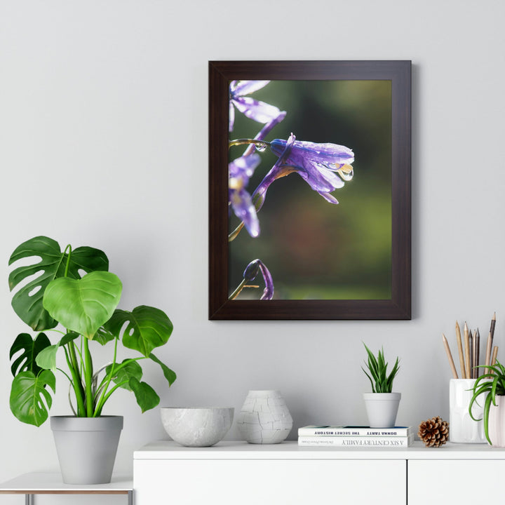 Purple Droplets - Framed Print - Visiting This World