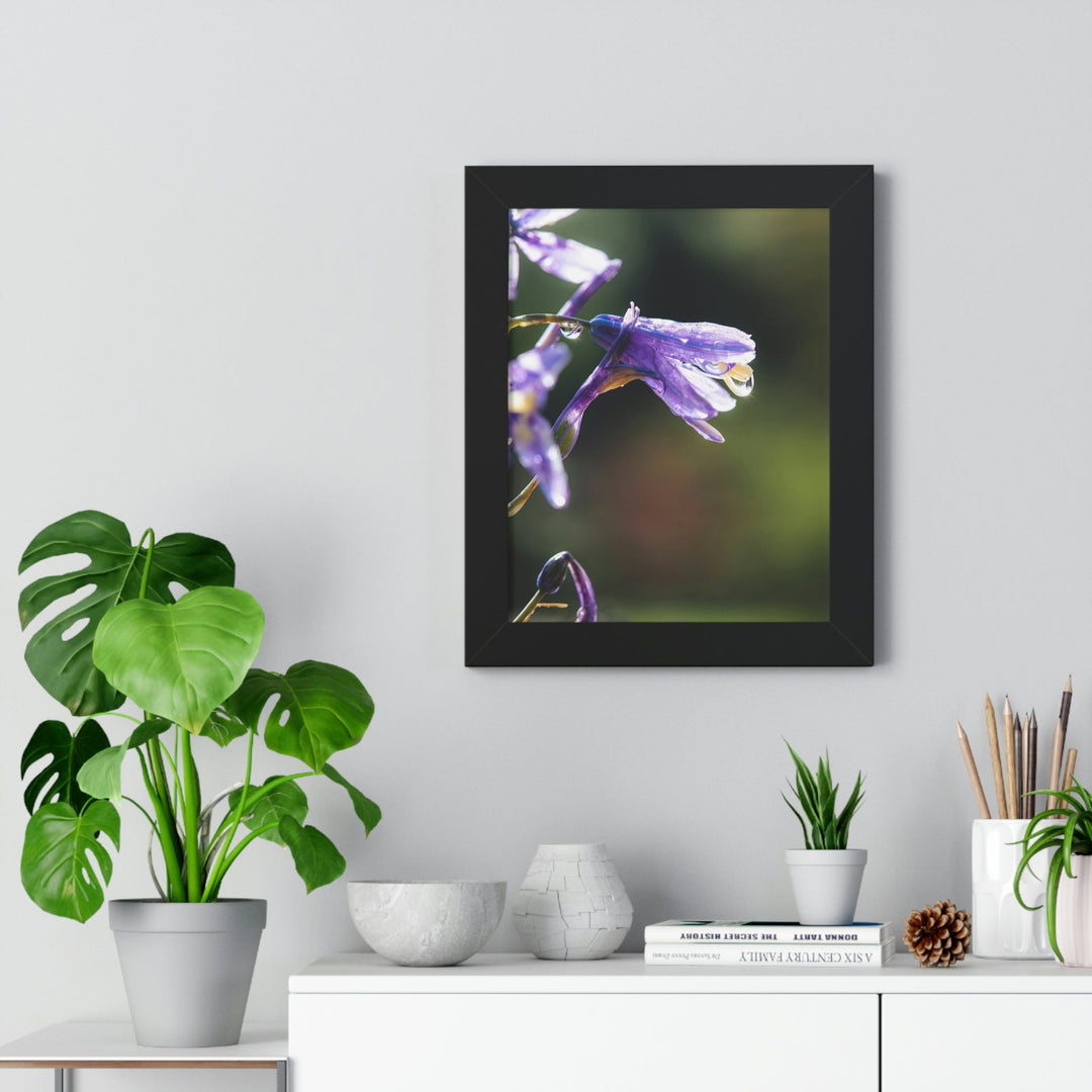 Purple Droplets - Framed Print - Visiting This World