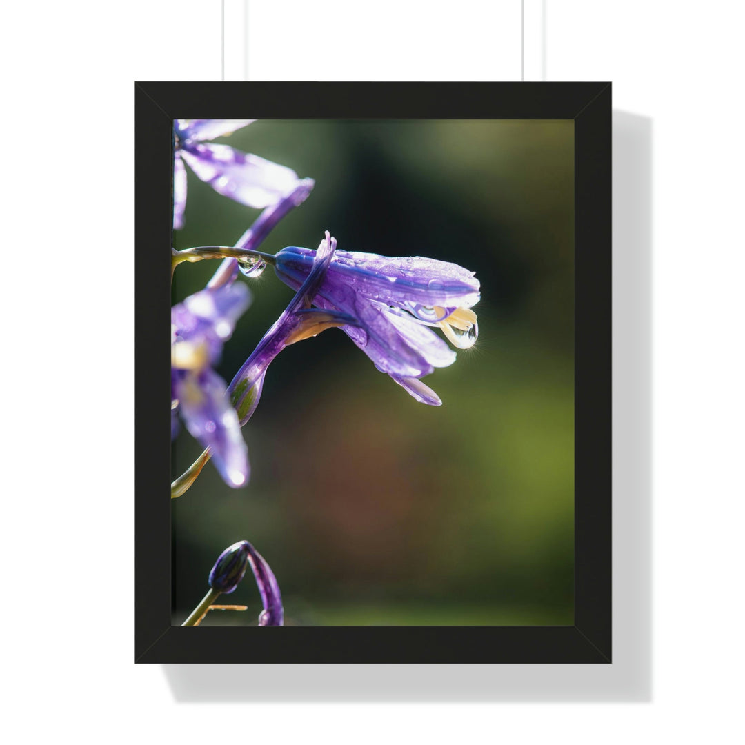 Purple Droplets - Framed Print - Visiting This World