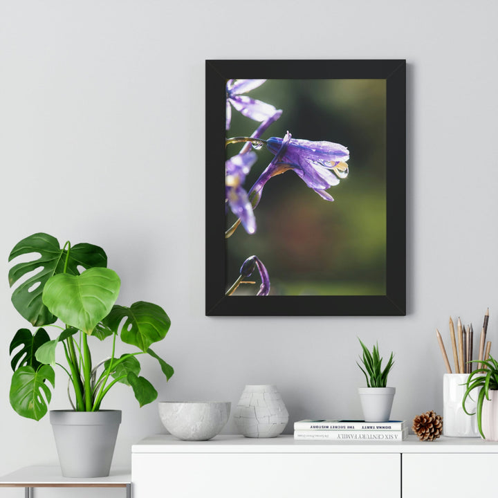 Purple Droplets - Framed Print - Visiting This World