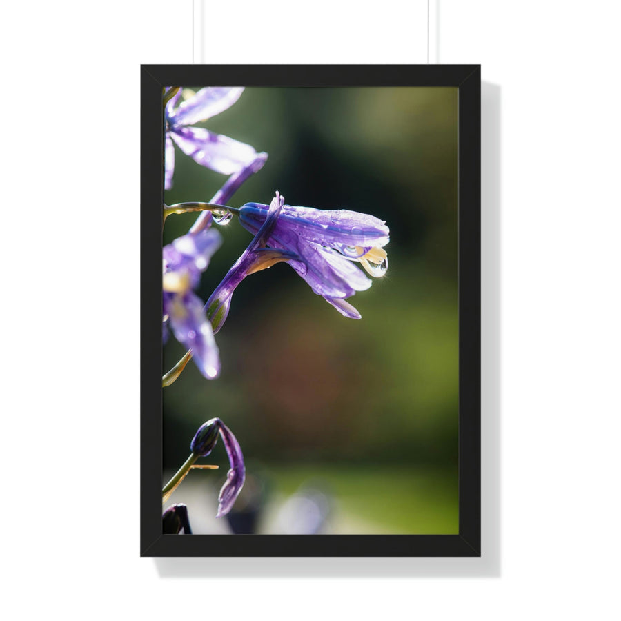 Purple Droplets - Framed Print - Visiting This World