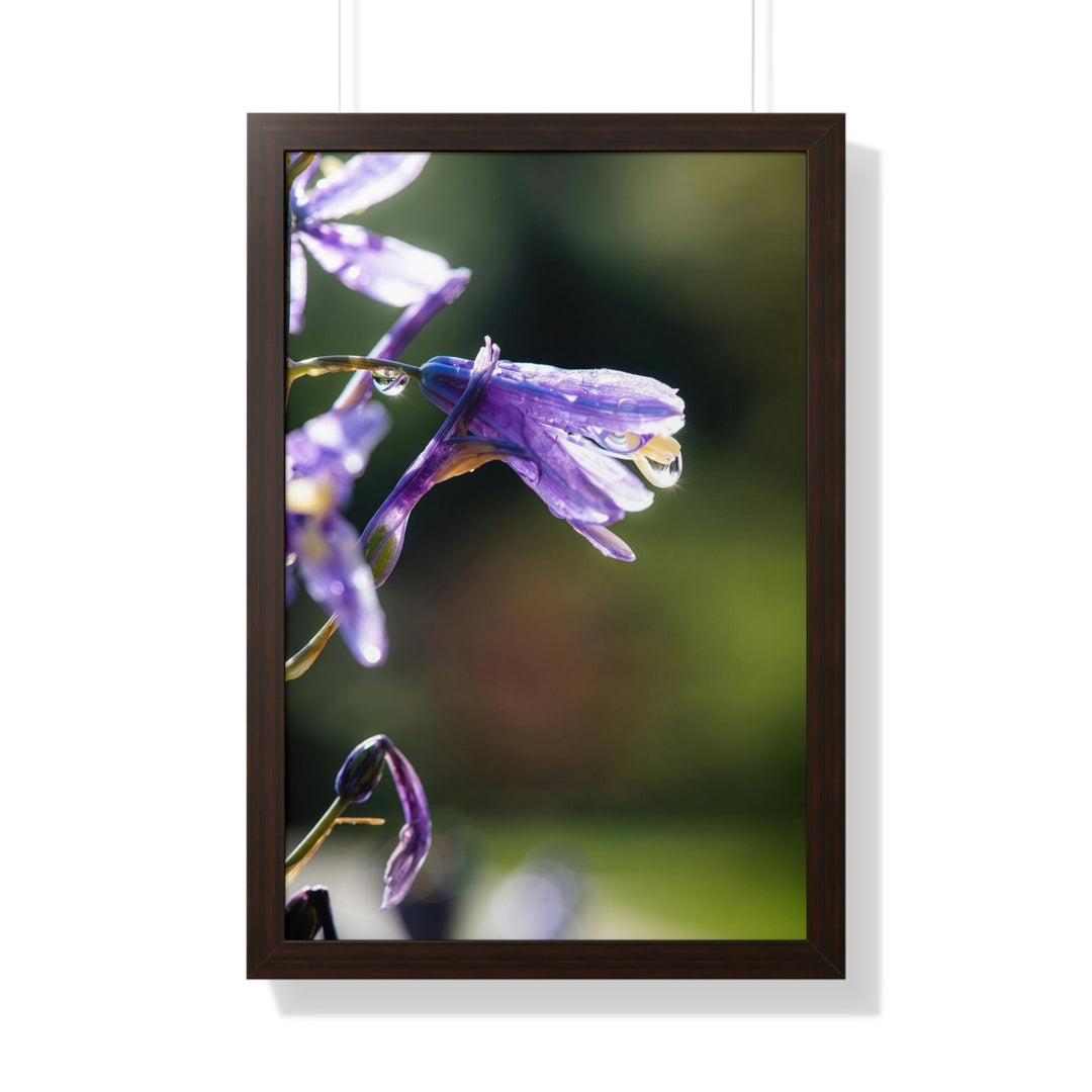 Purple Droplets - Framed Print - Visiting This World