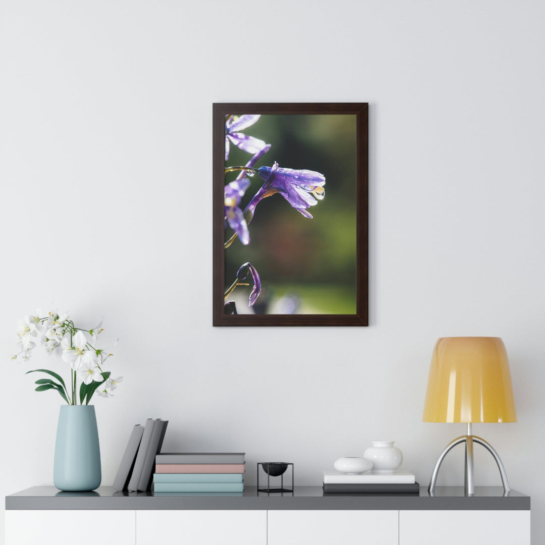 Purple Droplets - Framed Print - Visiting This World