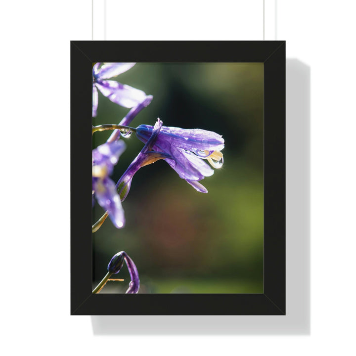 Purple Droplets - Framed Print - Visiting This World