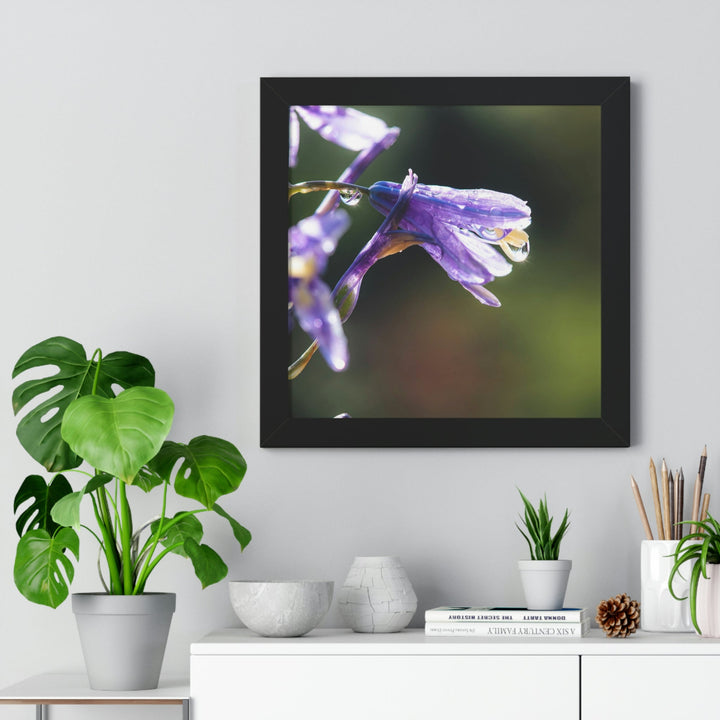 Purple Droplets - Framed Print - Visiting This World