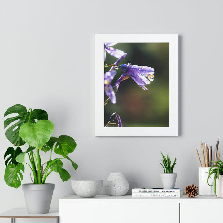 Purple Droplets - Framed Print - Visiting This World