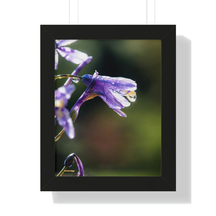 Purple Droplets - Framed Print - Visiting This World