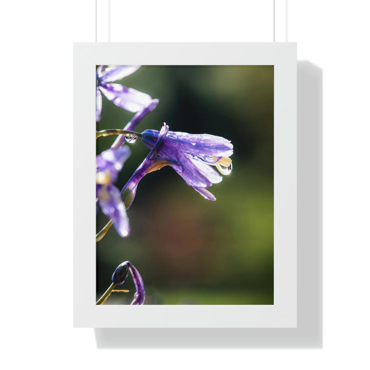 Purple Droplets - Framed Print - Visiting This World