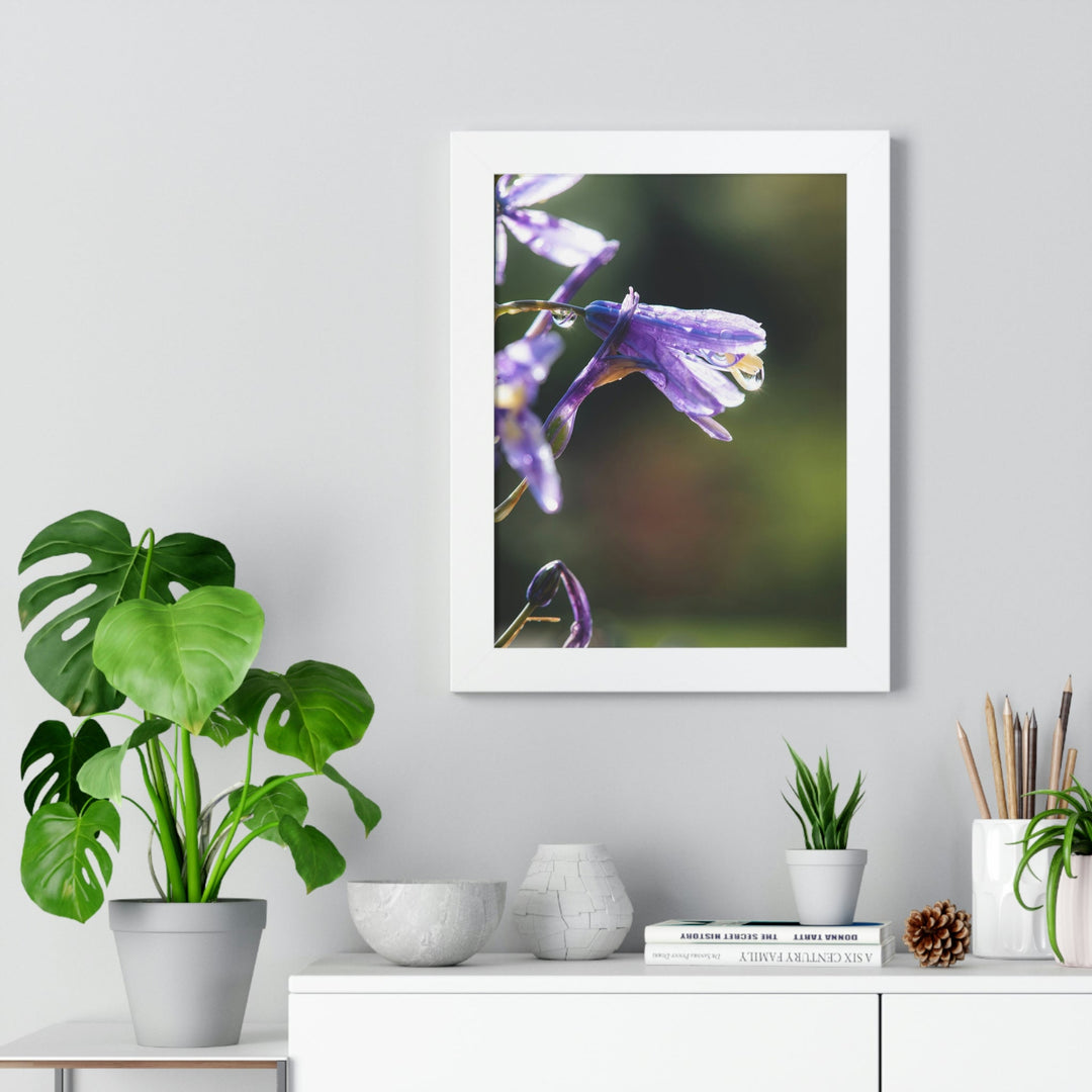 Purple Droplets - Framed Print - Visiting This World