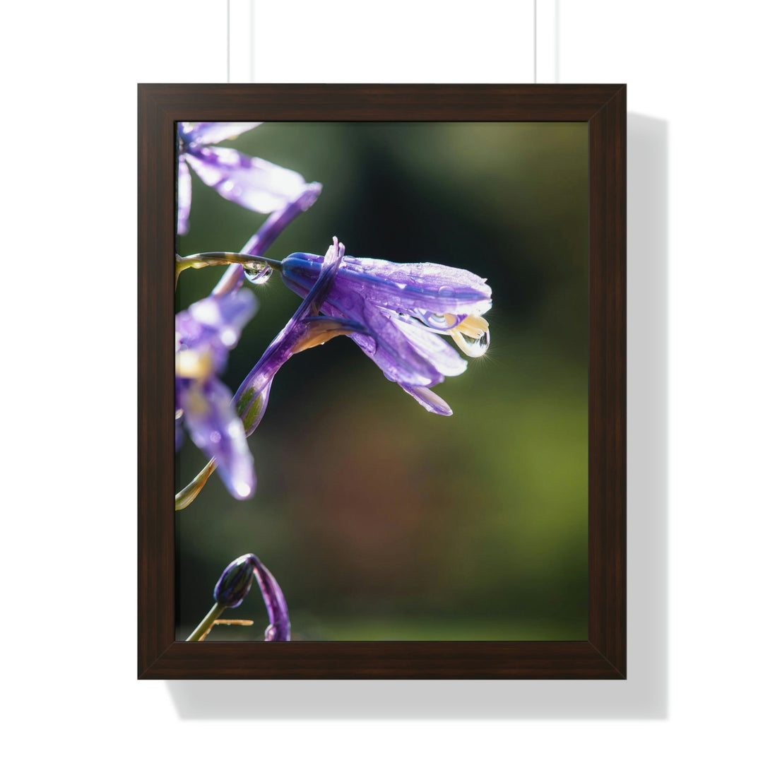 Purple Droplets - Framed Print - Visiting This World