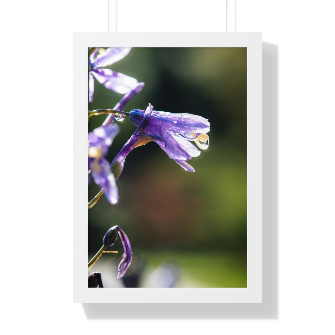 Purple Droplets - Framed Print - Visiting This World