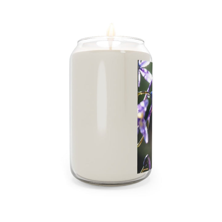 Purple Droplets - Scented Candle, 13.75oz - Visiting This World