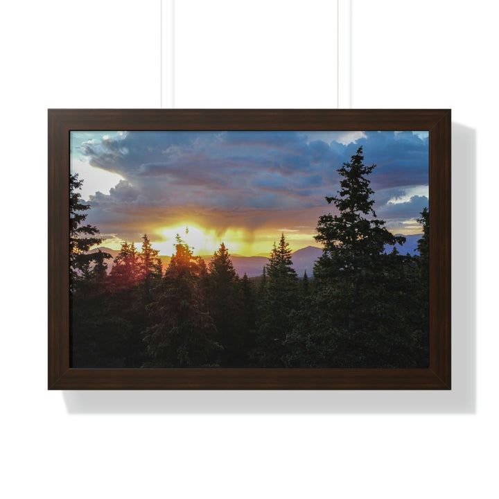 Rainy Sunset Through the Trees - Framed Print - Visiting This World