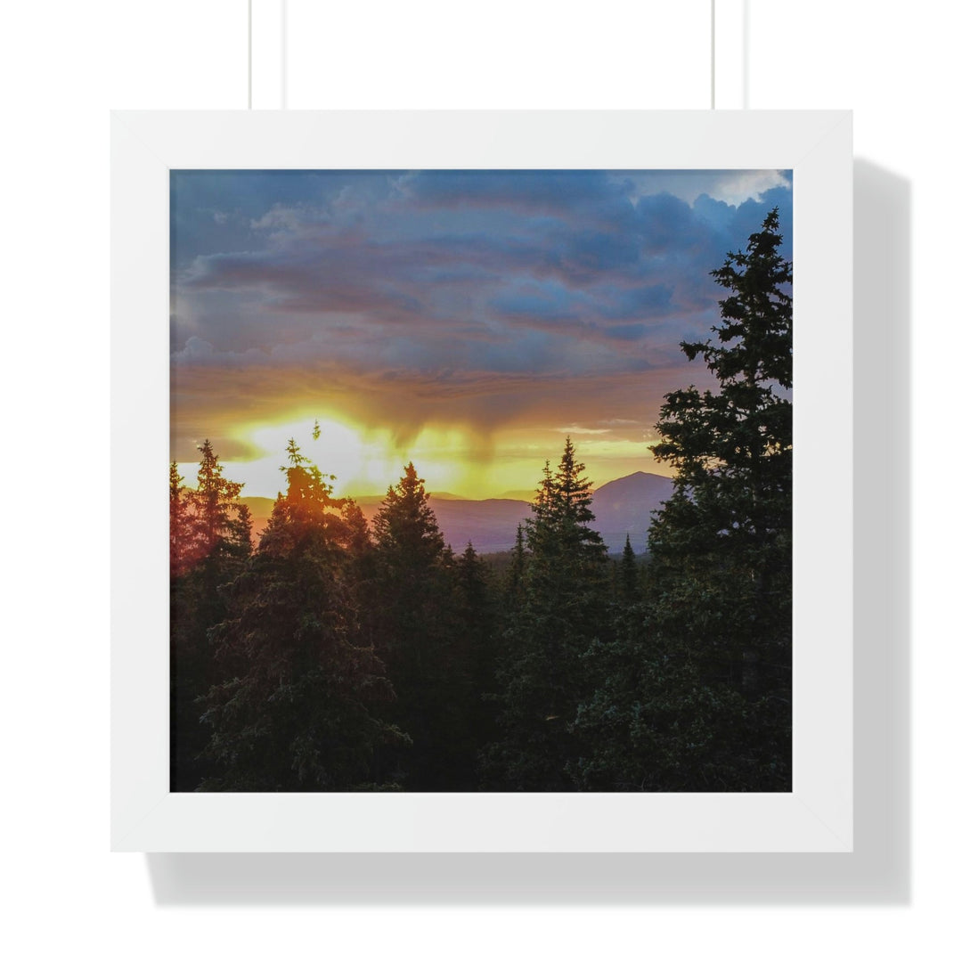 Rainy Sunset Through the Trees - Framed Print - Visiting This World