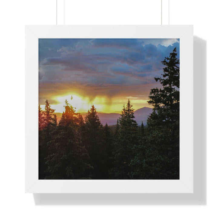 Rainy Sunset Through the Trees - Framed Print - Visiting This World