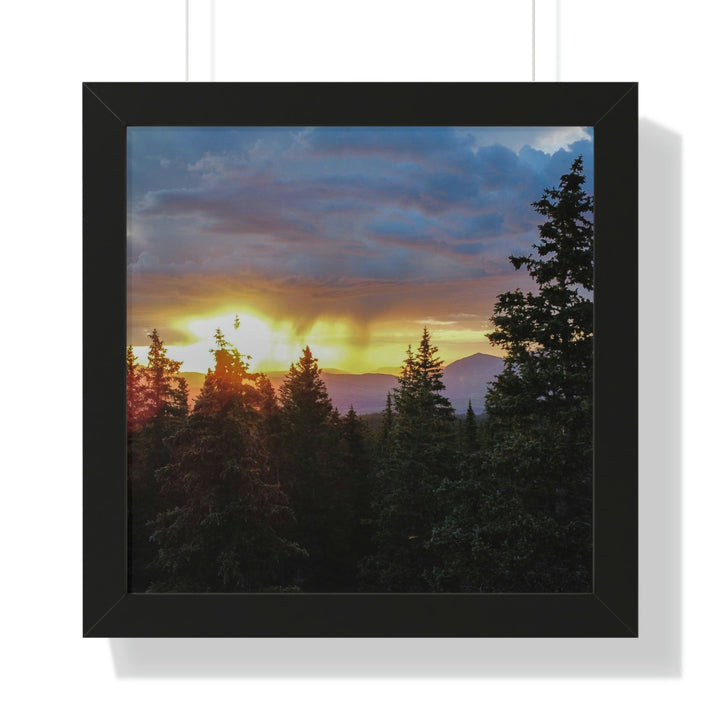 Rainy Sunset Through the Trees - Framed Print - Visiting This World