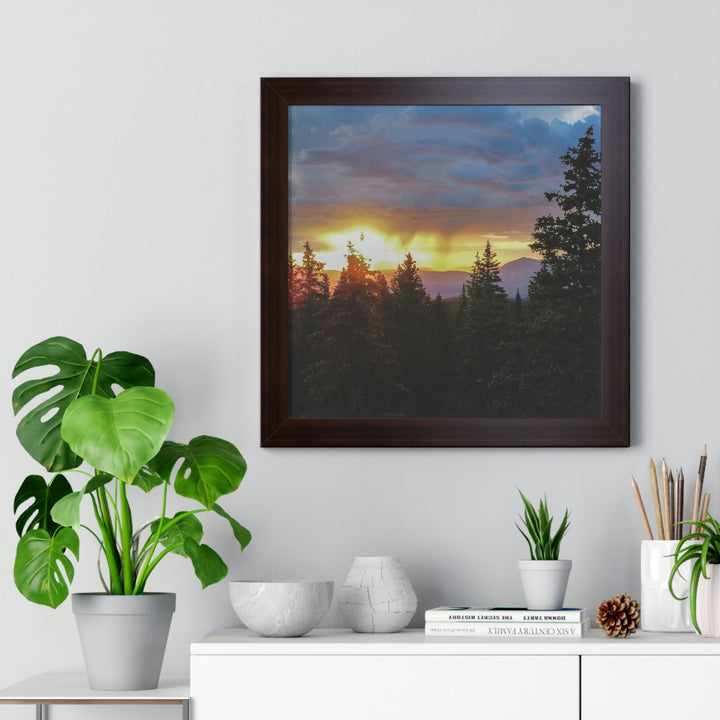 Rainy Sunset Through the Trees - Framed Print - Visiting This World