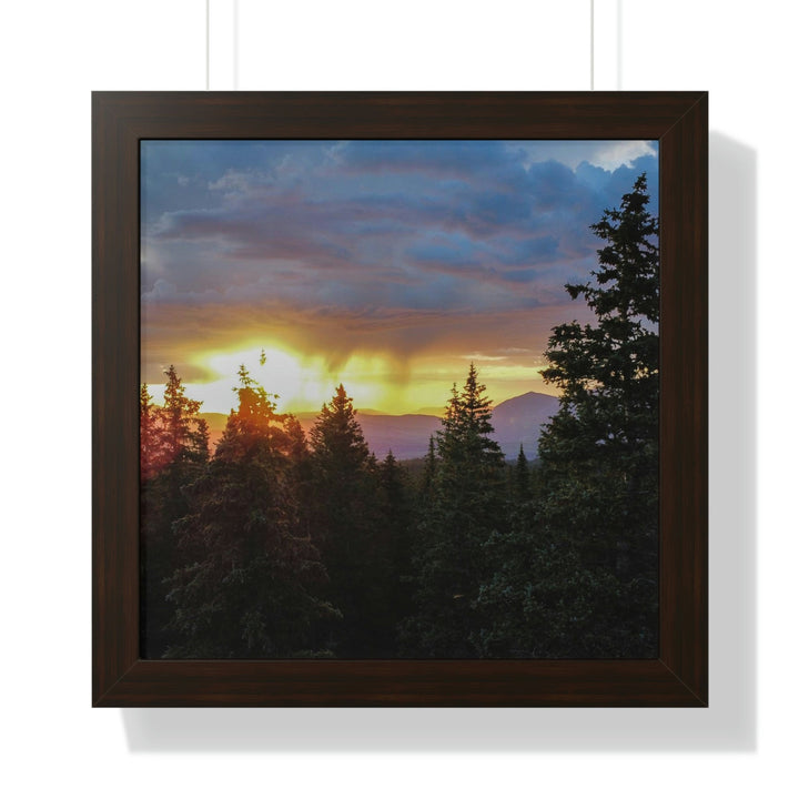 Rainy Sunset Through the Trees - Framed Print - Visiting This World