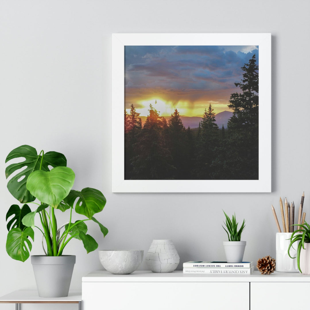 Rainy Sunset Through the Trees - Framed Print - Visiting This World