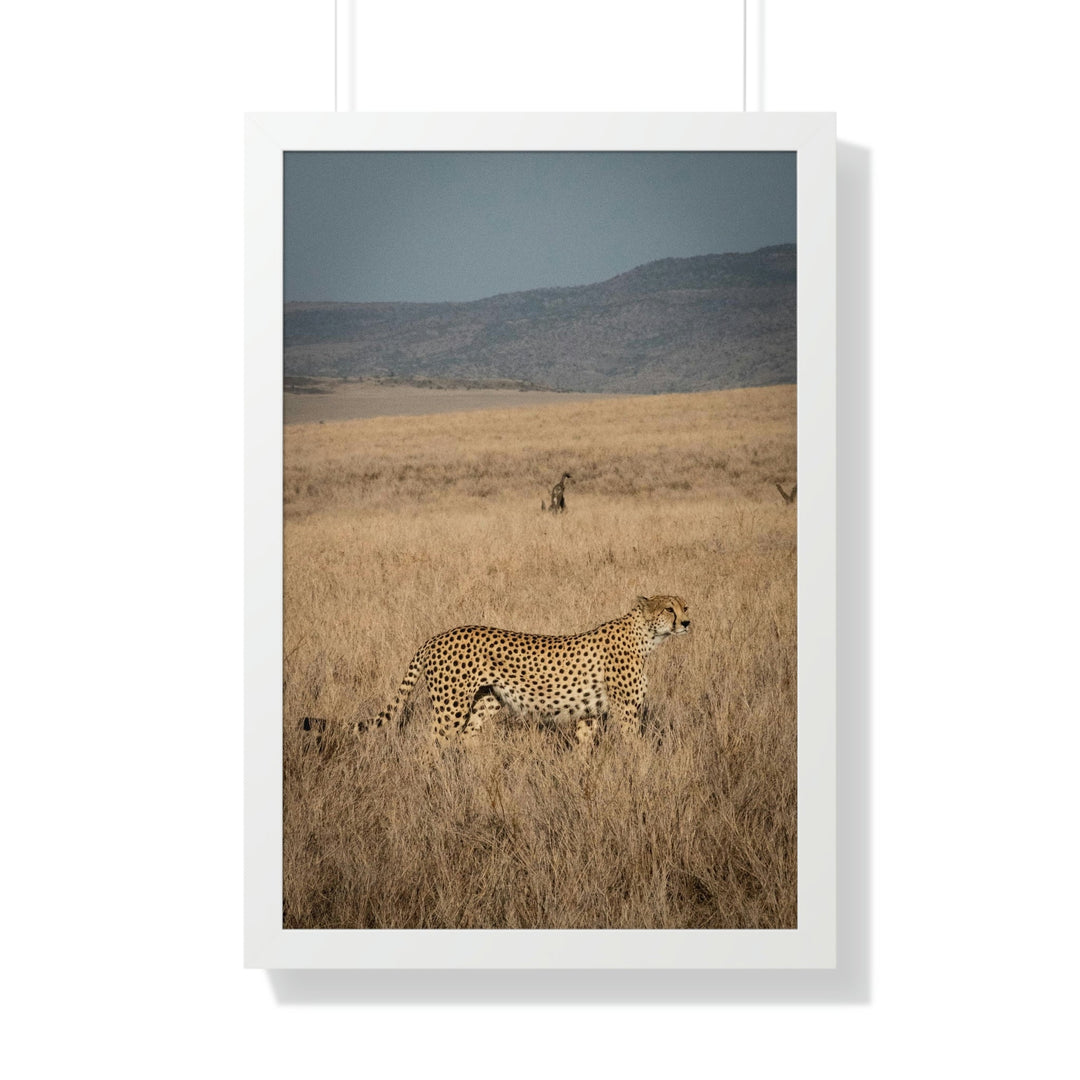 Regal Camouflage - Framed Print - Visiting This World