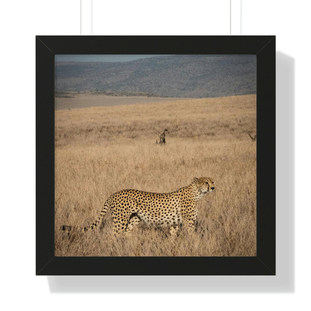 Regal Camouflage - Framed Print - Visiting This World