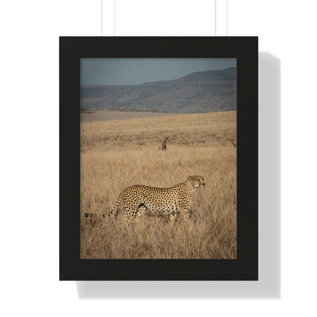 Regal Camouflage - Framed Print - Visiting This World