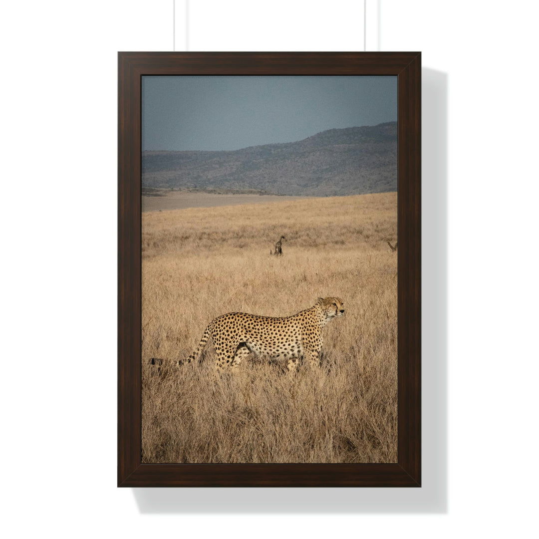 Regal Camouflage - Framed Print - Visiting This World