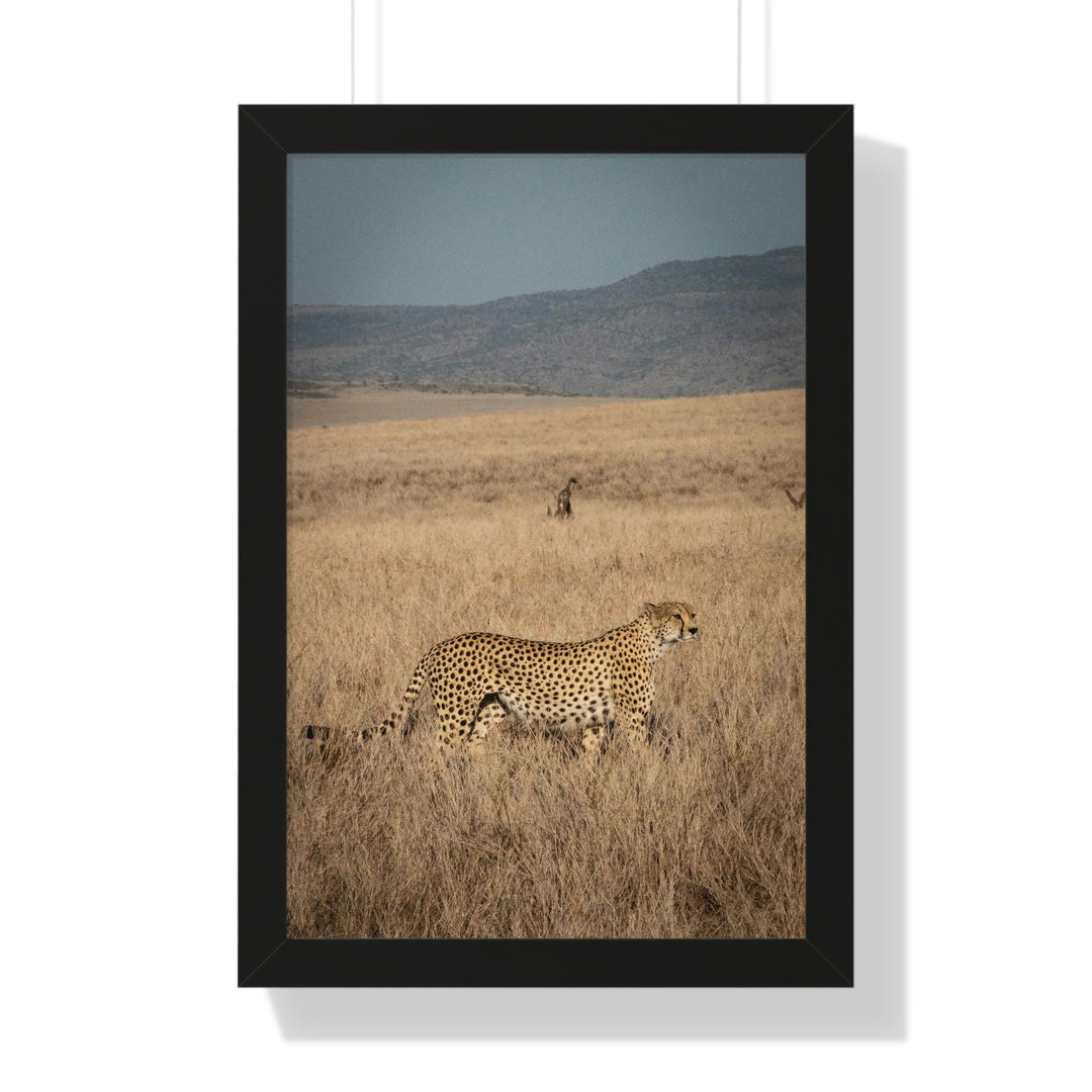 Regal Camouflage - Framed Print - Visiting This World