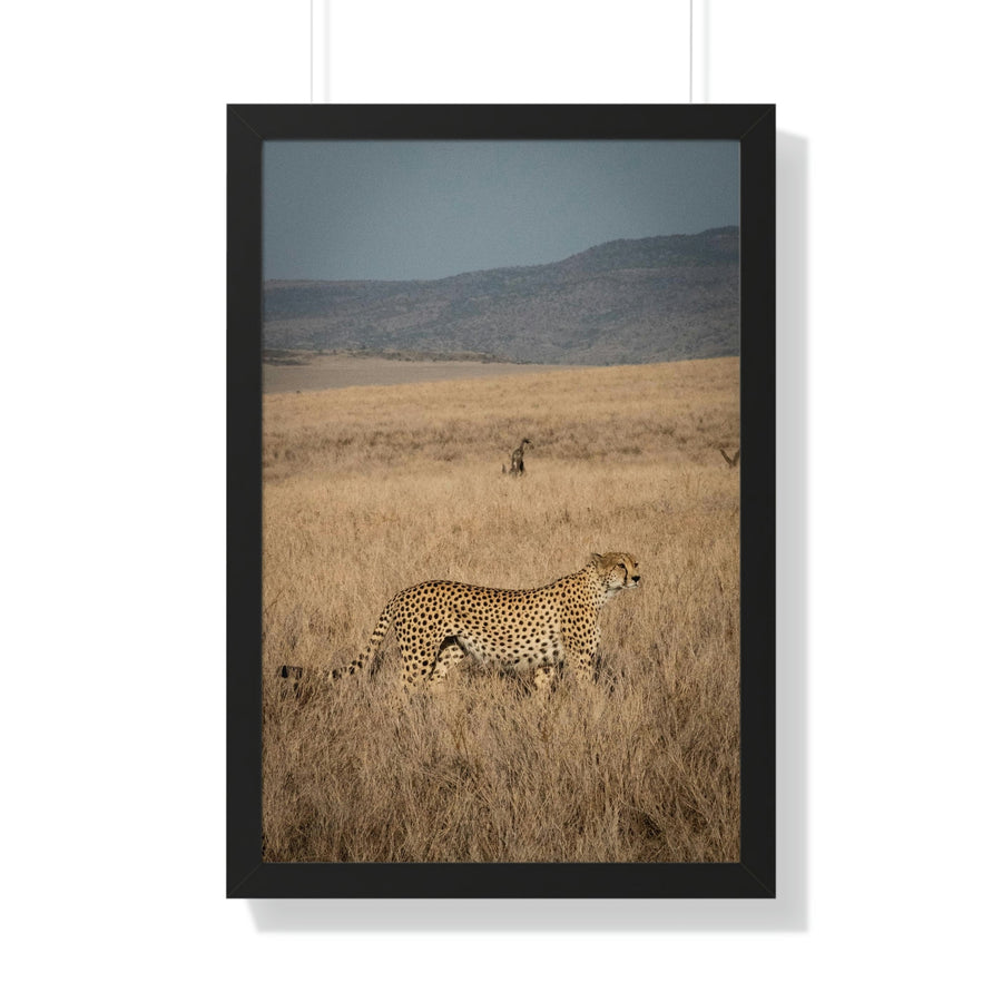 Regal Camouflage - Framed Print - Visiting This World