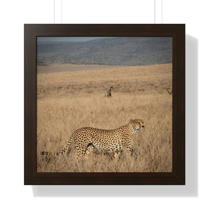 Regal Camouflage - Framed Print - Visiting This World