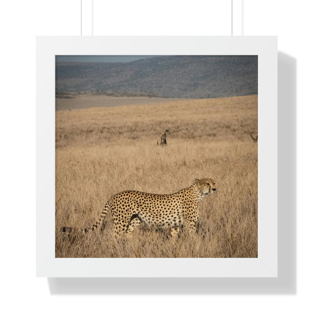 Regal Camouflage - Framed Print - Visiting This World