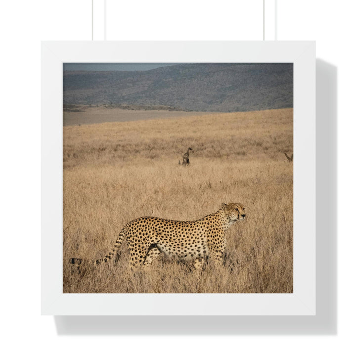 Regal Camouflage - Framed Print - Visiting This World