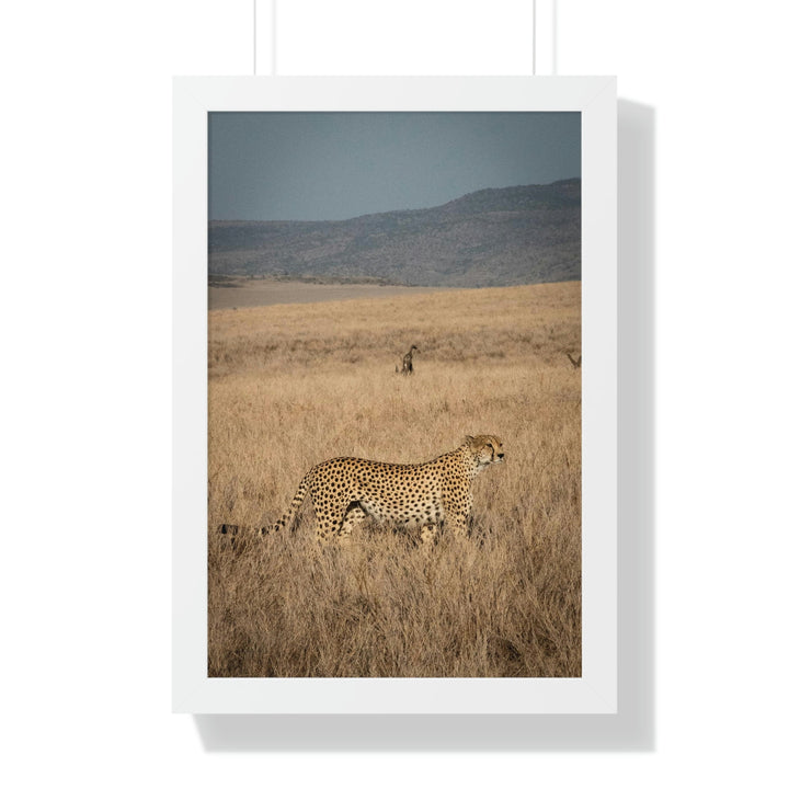 Regal Camouflage - Framed Print - Visiting This World