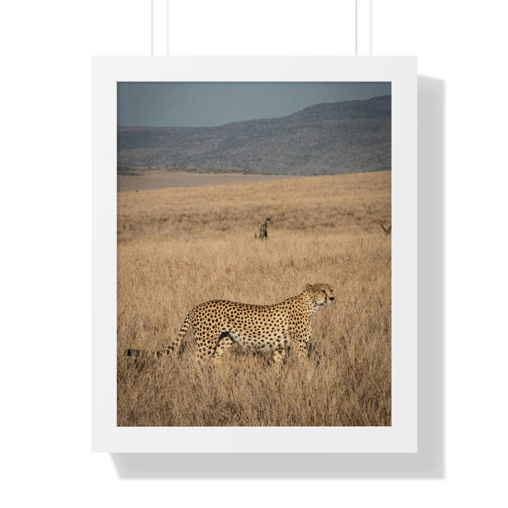 Regal Camouflage - Framed Print - Visiting This World