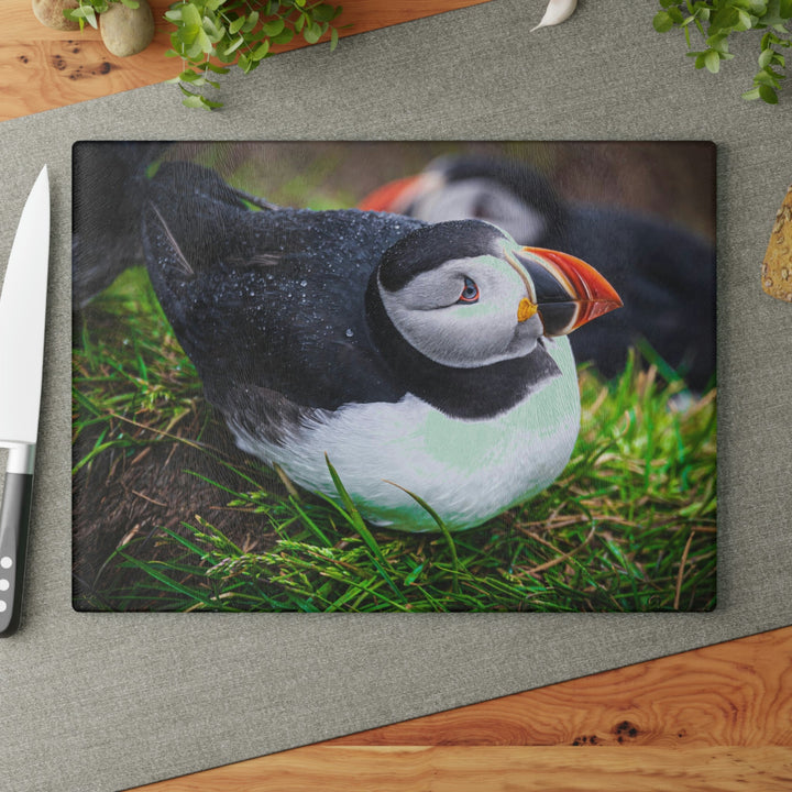 Resting Puffin - Glass Cutting Board - Visiting This World