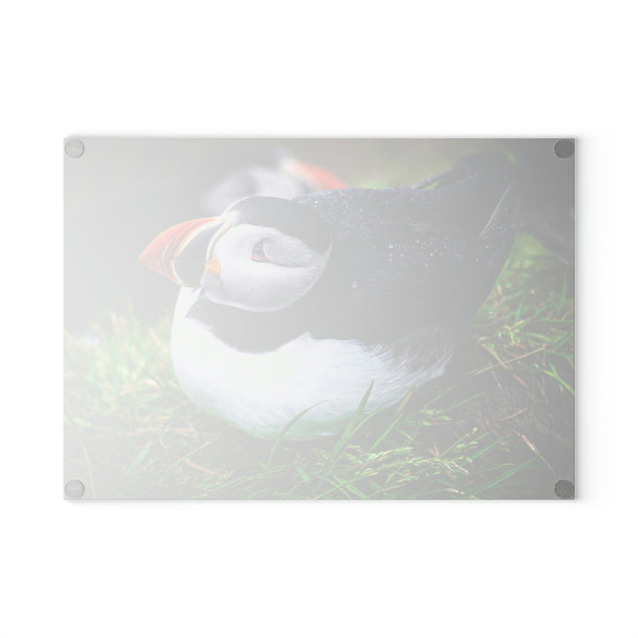 Resting Puffin - Glass Cutting Board - Visiting This World