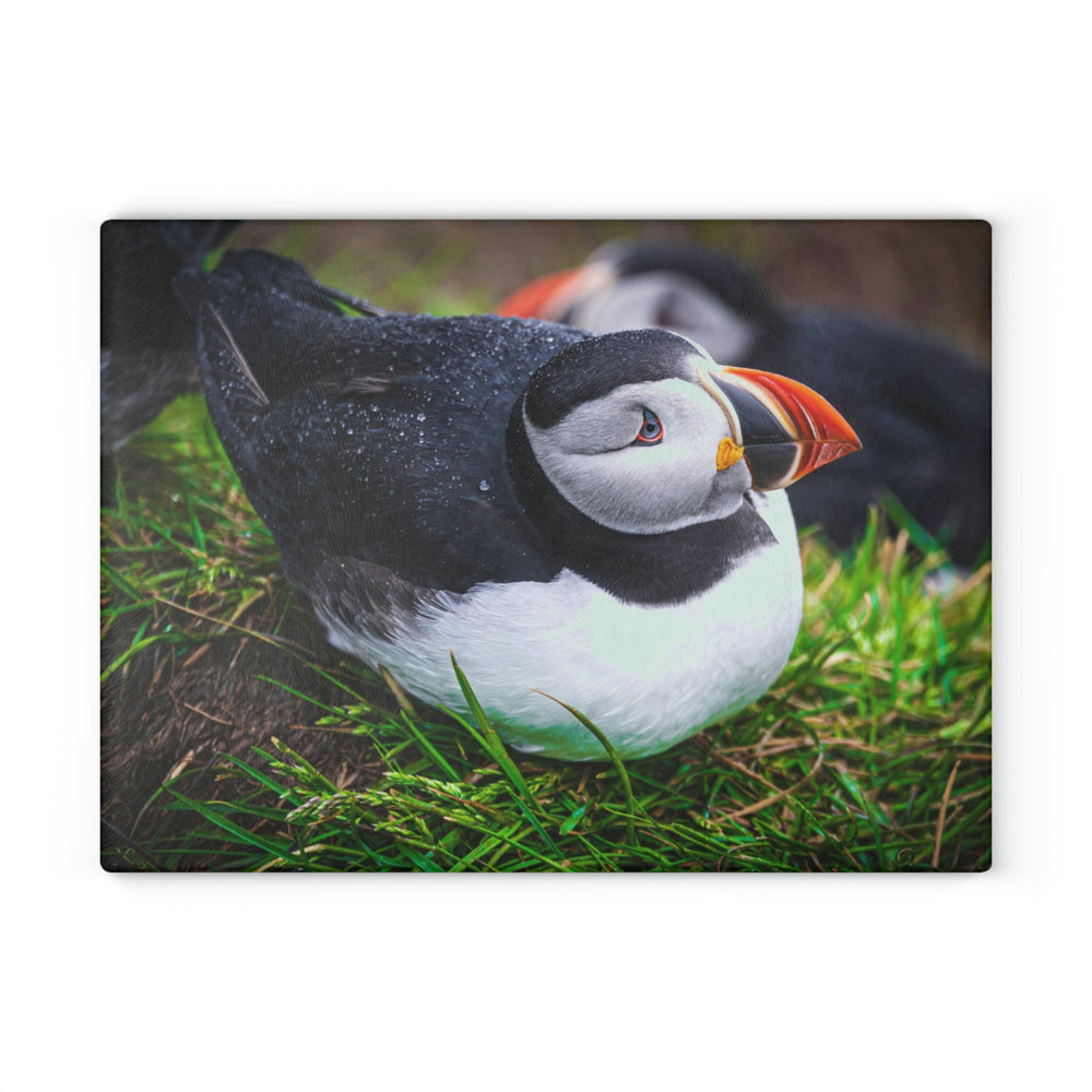 Resting Puffin - Glass Cutting Board - Visiting This World