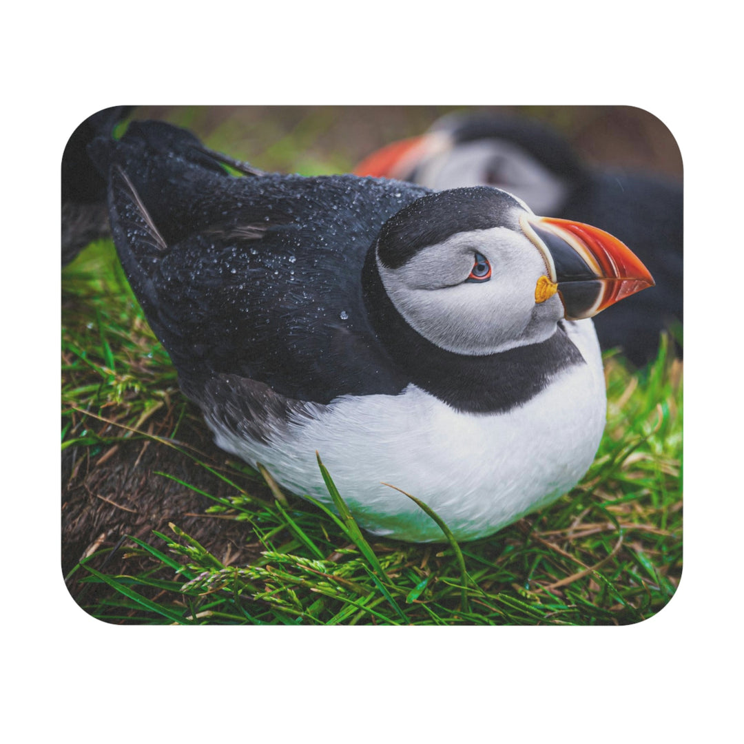 Resting Puffin - Mouse Pad (Rectangle) - Visiting This World