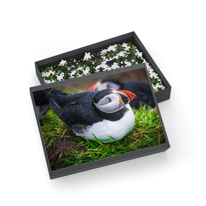 Resting Puffin - Nature Puzzle (96, 252, 500, 1000-Piece) - Visiting This World