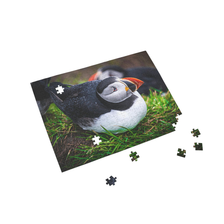 Resting Puffin - Nature Puzzle (96, 252, 500, 1000-Piece) - Visiting This World