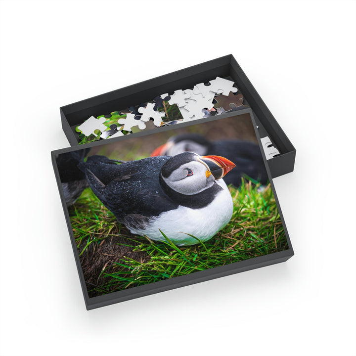 Resting Puffin - Nature Puzzle (96, 252, 500, 1000-Piece) - Visiting This World