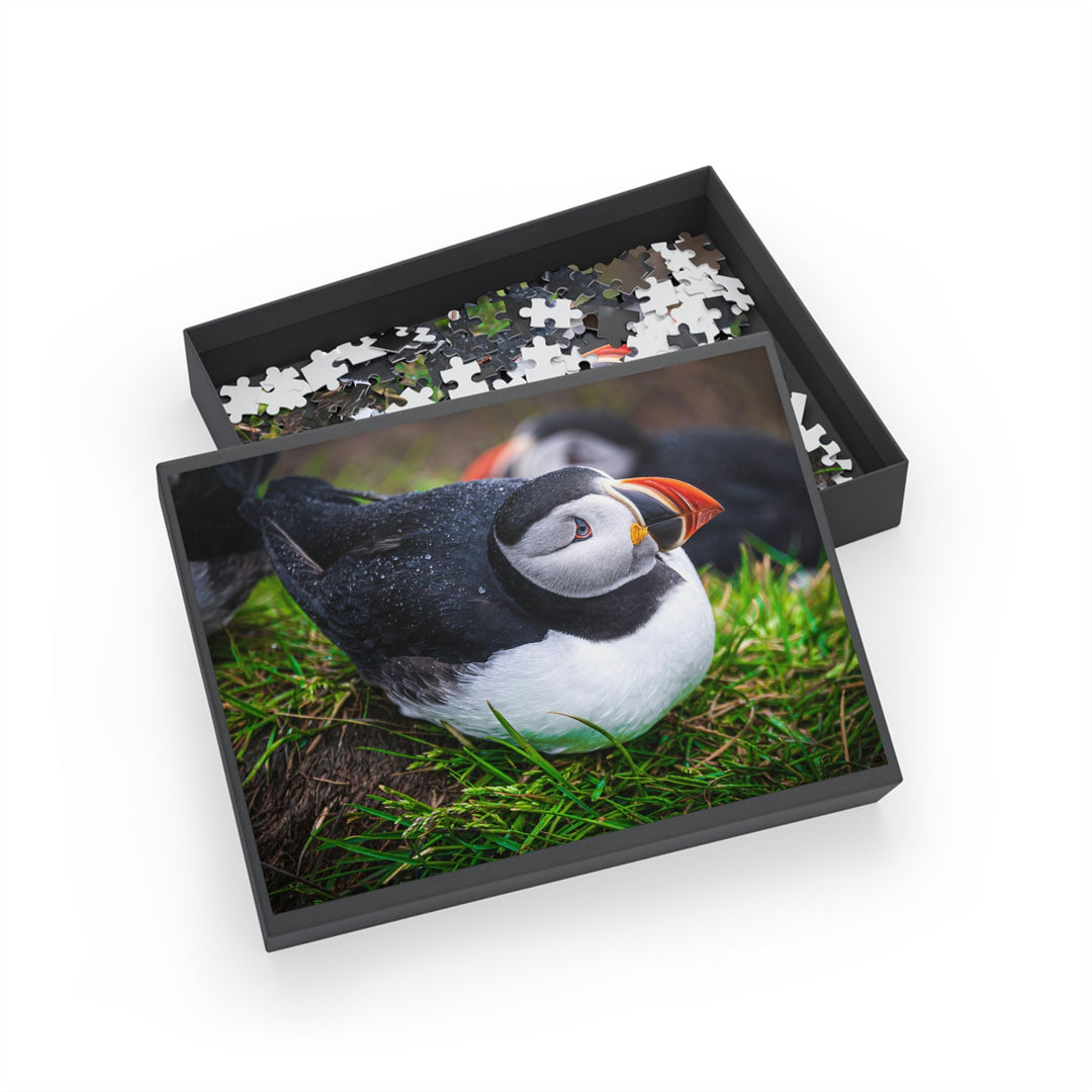 Resting Puffin - Nature Puzzle (96, 252, 500, 1000-Piece) - Visiting This World