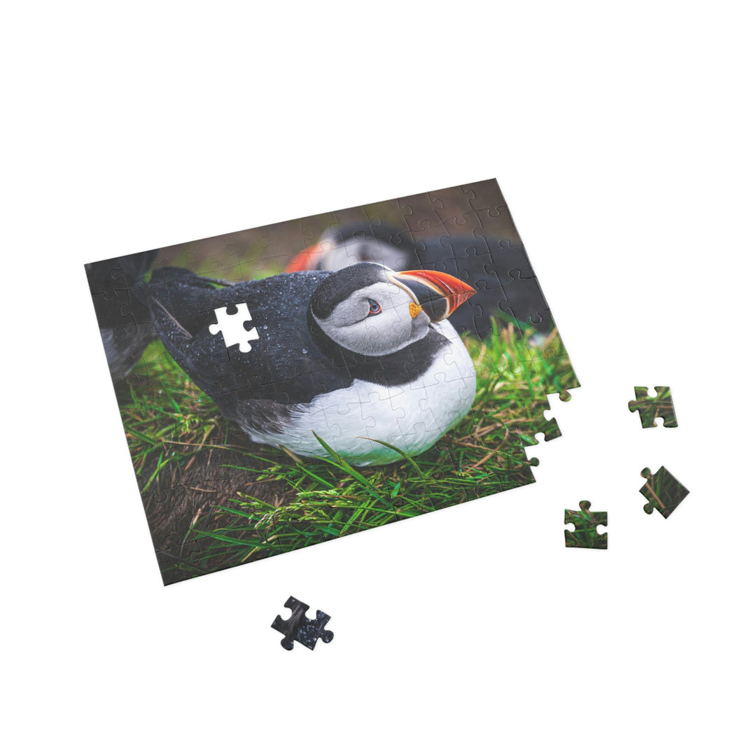 Resting Puffin - Nature Puzzle (96, 252, 500, 1000-Piece) - Visiting This World