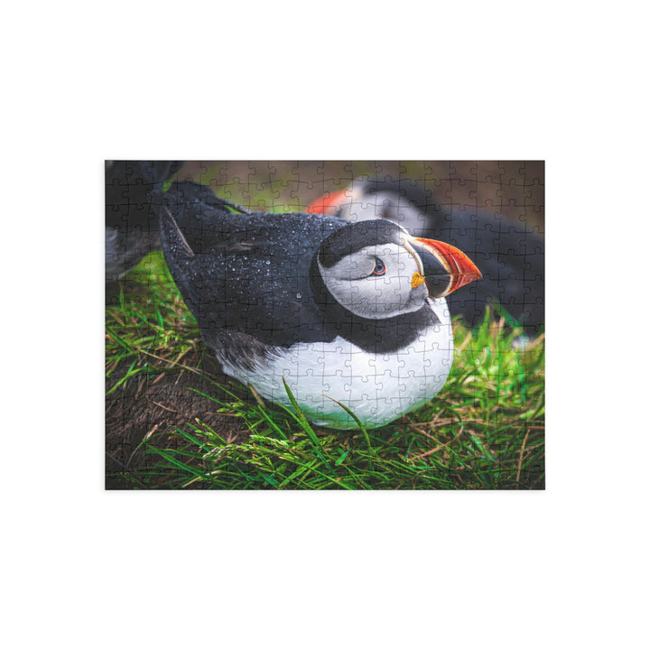 Resting Puffin - Nature Puzzle (96, 252, 500, 1000-Piece) - Visiting This World